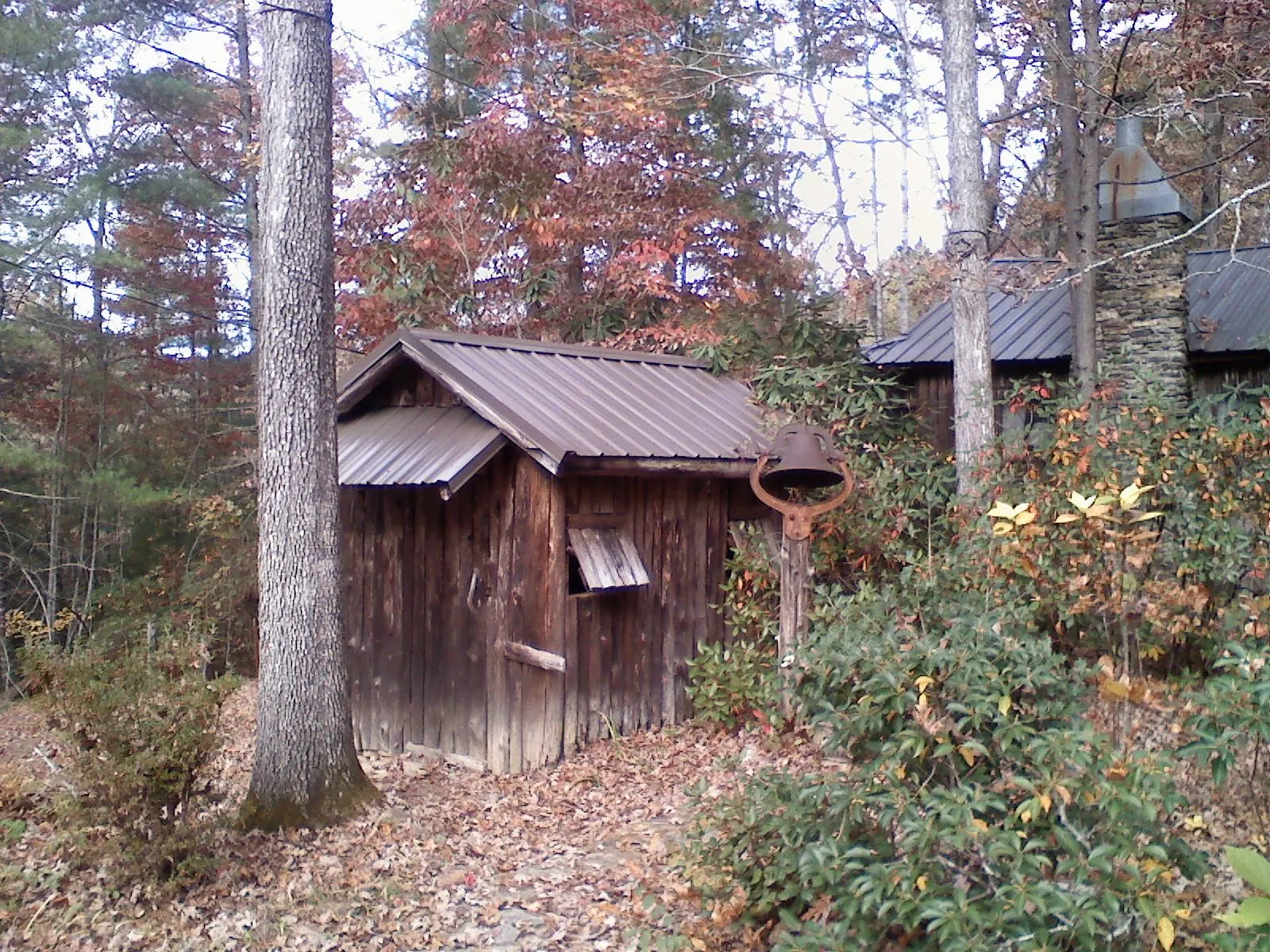 Small metal roof on a rough sawn shed in the woods in East Prospect