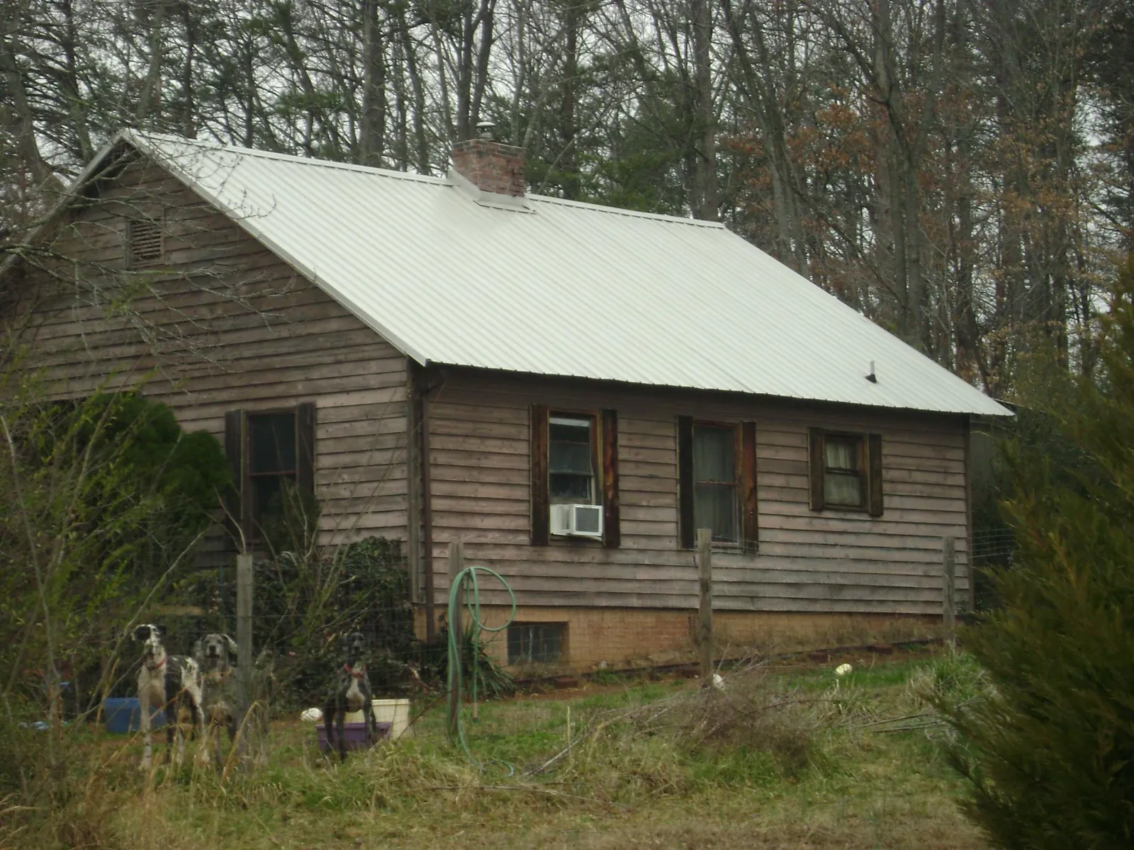 White metal roof on an old wood sided farmhouse, from a Asphalt Shingle Roof Repair job in East Prospect
